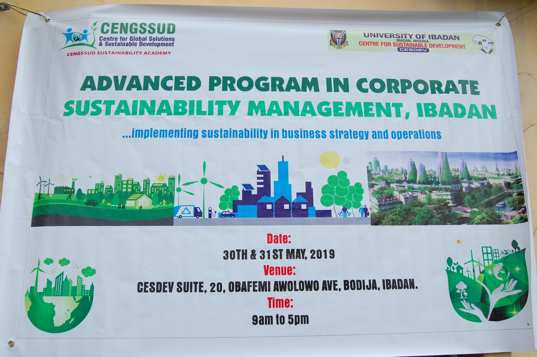 IHS Towers sustainability management